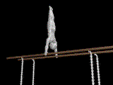 pbar1.gif