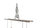 pbar3.gif