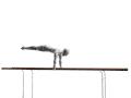 pbar6s.gif
