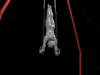 rings2.gif